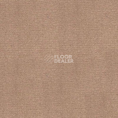 Ковролин Radici Abetone Daino 4984 фото 1 | FLOORDEALER